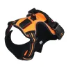 Hundegeschirr - mit LED - verstellbar - reflektierend - wasserdicht