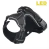 Hundegeschirr - mit LED - verstellbar - reflektierend - wasserdicht