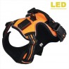 Dog's harness - with LED - adjustable - reflective - waterproof