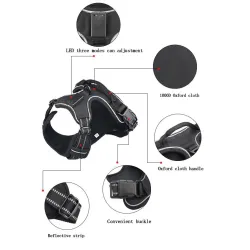 Dog's harness - with LED - adjustable - reflective - waterproof