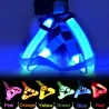 Dog harness - LED - flashing / glowing lights - night safety