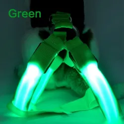 Pettorina per cani - LED - luci lampeggianti / luminose - sicurezza notturna