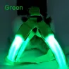 Hundegeschirr - LED - blinkende / leuchtende Lichter - Nachtsicherheit