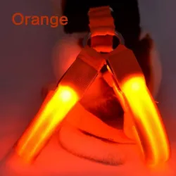 Hondentuig - LED - knipperende / gloeiende lichten - nachtbeveiligingHalsbanden en Lijnen