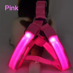 Pettorina per cani - LED - luci lampeggianti / luminose - sicurezza notturna