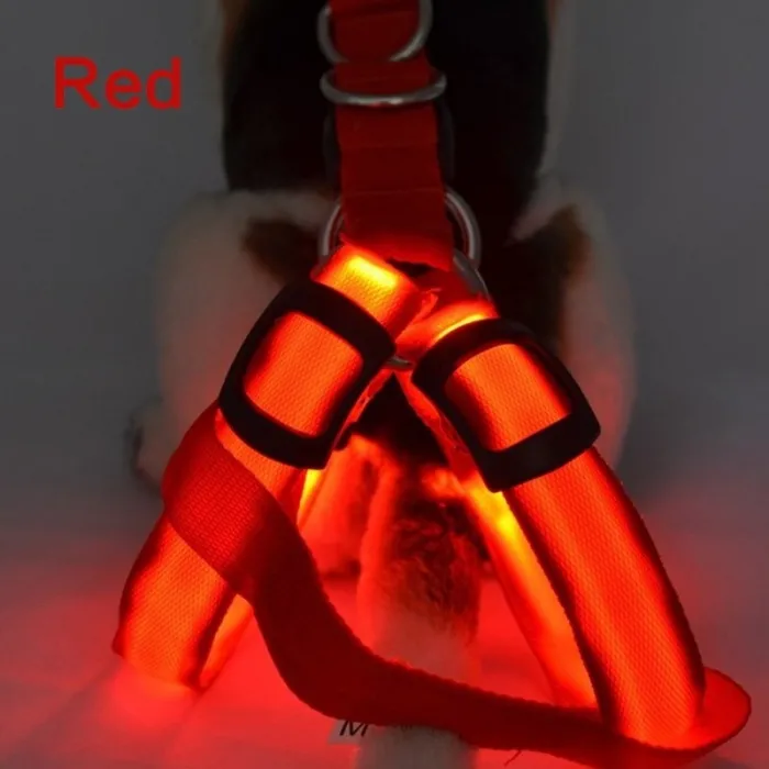 Hundegeschirr - LED - blinkende / leuchtende Lichter - Nachtsicherheit