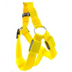 Dog harness - LED - flashing / glowing lights - night safety