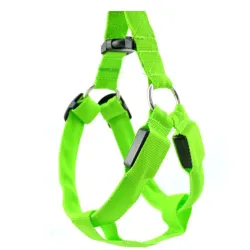 Pettorina per cani - LED - luci lampeggianti / luminose - sicurezza notturna
