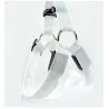 Dog harness - LED - flashing / glowing lights - night safety