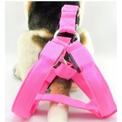 Pettorina per cani - LED - luci lampeggianti / luminose - sicurezza notturna
