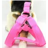 Pettorina per cani - LED - luci lampeggianti / luminose - sicurezza notturna