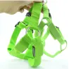 Pettorina per cani - LED - luci lampeggianti / luminose - sicurezza notturna