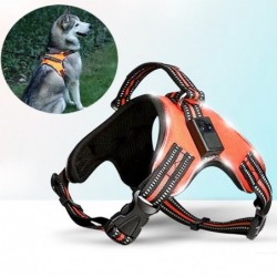 Dog harness - LED - flashing / reflective lights - safety night walk - waterproof