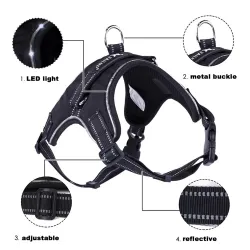 Collares & CorreasArnés para perros - LED - luces intermitentes / reflectantes - caminata nocturna de seguridad - impermeable