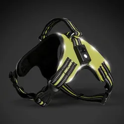Collares & CorreasArnés para perros - LED - luces intermitentes / reflectantes - caminata nocturna de seguridad - impermeable