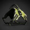 Collares & CorreasArnés para perros - LED - luces intermitentes / reflectantes - caminata nocturna de seguridad - impermeable