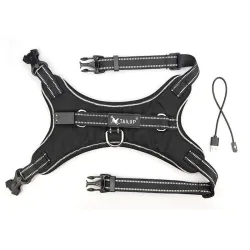 Collares & CorreasArnés para perros - LED - luces intermitentes / reflectantes - caminata nocturna de seguridad - impermeable