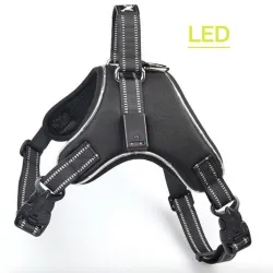 Pettorina per cani - LED - luci lampeggianti / riflettenti - passeggiata notturna di sicurezza - impermeabile