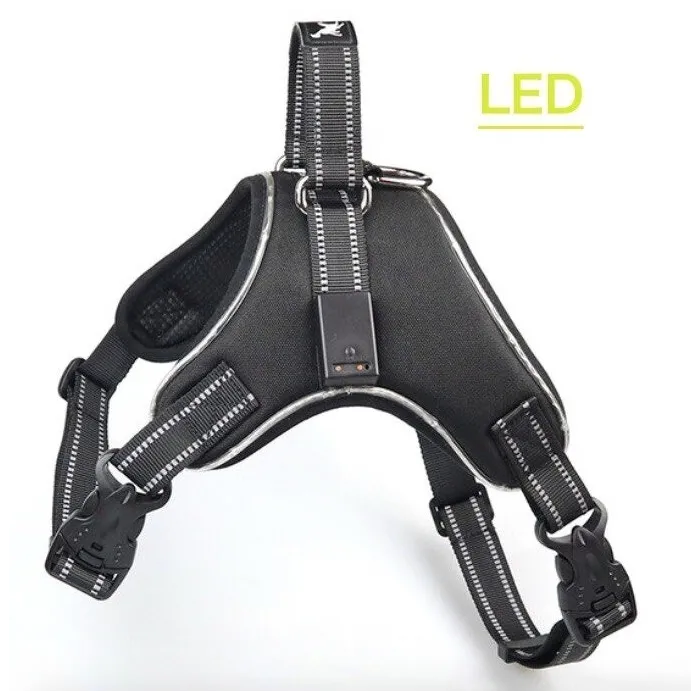 Pettorina per cani - LED - luci lampeggianti / riflettenti - passeggiata notturna di sicurezza - impermeabile