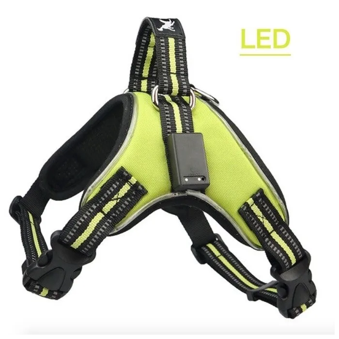 Collares & CorreasArnés para perros - LED - luces intermitentes / reflectantes - caminata nocturna de seguridad - impermeable