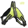 Collares & CorreasArnés para perros - LED - luces intermitentes / reflectantes - caminata nocturna de seguridad - impermeable