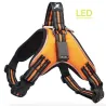 Collares & CorreasArnés para perros - LED - luces intermitentes / reflectantes - caminata nocturna de seguridad - impermeable