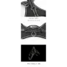 Dog harness - LED - flashing / reflective lights - safety night walk - waterproof