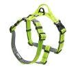 Hundegeschirr - reflektierendes Nylon - verstellbar