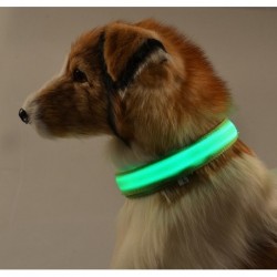 LED-Hundehalsband - leuchtend / blinkend - Sicherheits-Nachtspaziergang