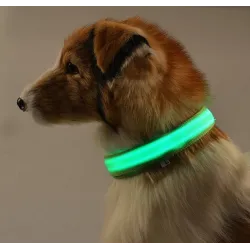 Obroża LED dla psa - świecąca / migająca - bezpieczny nocny spacerObroże & Smycze