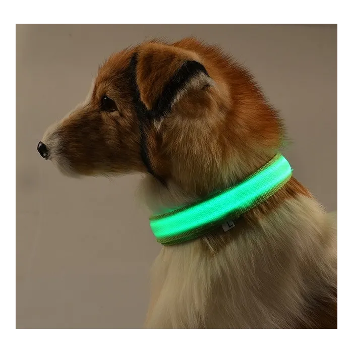 LED dog collar - luminous / flashing - safety night walk