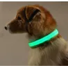 LED dog collar - luminous / flashing - safety night walk