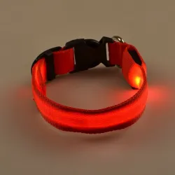 LED-Hundehalsband - leuchtend / blinkend - Sicherheits-Nachtspaziergang