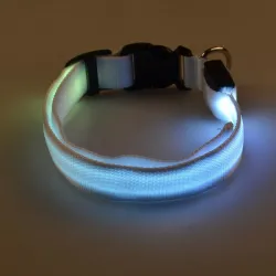 LED-Hundehalsband - leuchtend / blinkend - Sicherheits-Nachtspaziergang