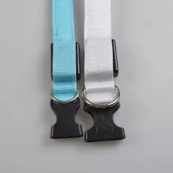 LED dog collar - luminous / flashing - safety night walk