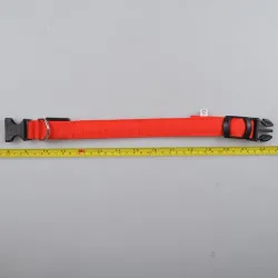 LED dog collar - luminous / flashing - safety night walk
