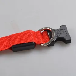 LED hondenhalsband - lichtgevend / knipperend - veiligheidsnachtwandelingHalsbanden en Lijnen