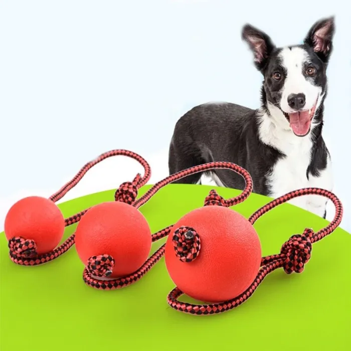 Rubber training ball for dogs - teeth cleaning - with a rope
