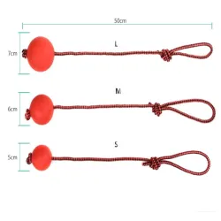 Gummiträningsboll för hundar - tandrengöring - med ett rep