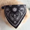 Adjustable collar with scarf - for dogs / cats / pets