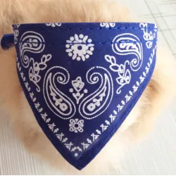 Verstelbare halsband met sjaal - voor honden / katten / huisdierenDieren & huisdieren