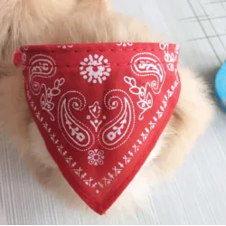 Adjustable collar with scarf - for dogs / cats / pets