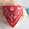Adjustable collar with scarf - for dogs / cats / pets