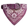 Adjustable collar with scarf - for dogs / cats / pets