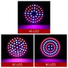 LED kweeklamp - hydrocultuur - full spectrum - E27 / E14 / GU10 / MR16 / B22 - 220V - 3W / 4W / 5WKweeklampen
