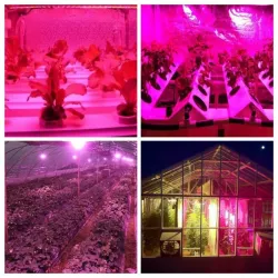 LED Pflanzenlampe - Glühbirne - Hydroponik - Vollspektrum - E27 / E14 / GU10 / MR16 / B22 - 220V - 3W / 4W / 5W