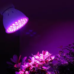 LED plant grow light - bulb - hydroponic - full spectrum - E27 / E14 / MR16/ GU10 - 220V - 2 pieces