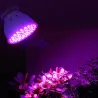 LED plantengroeilamp - bol - hydrocultuur - full spectrum - E27 / E14 / MR16/ GU10 - 220V - 2 stuksKweeklampen