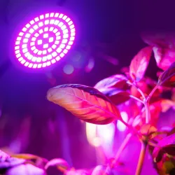 LED plantengroeilamp - bol - hydrocultuur - full spectrum - E27 / E14 / MR16/ GU10 - 220V - 2 stuksKweeklampen