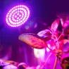 Oświetlenie LED do uprawy roślin - żarówka - hydroponiczna - pełne spektrum - E27 / E14 / MR16 / GU10 - 220V - 2 sztukiLampa ...